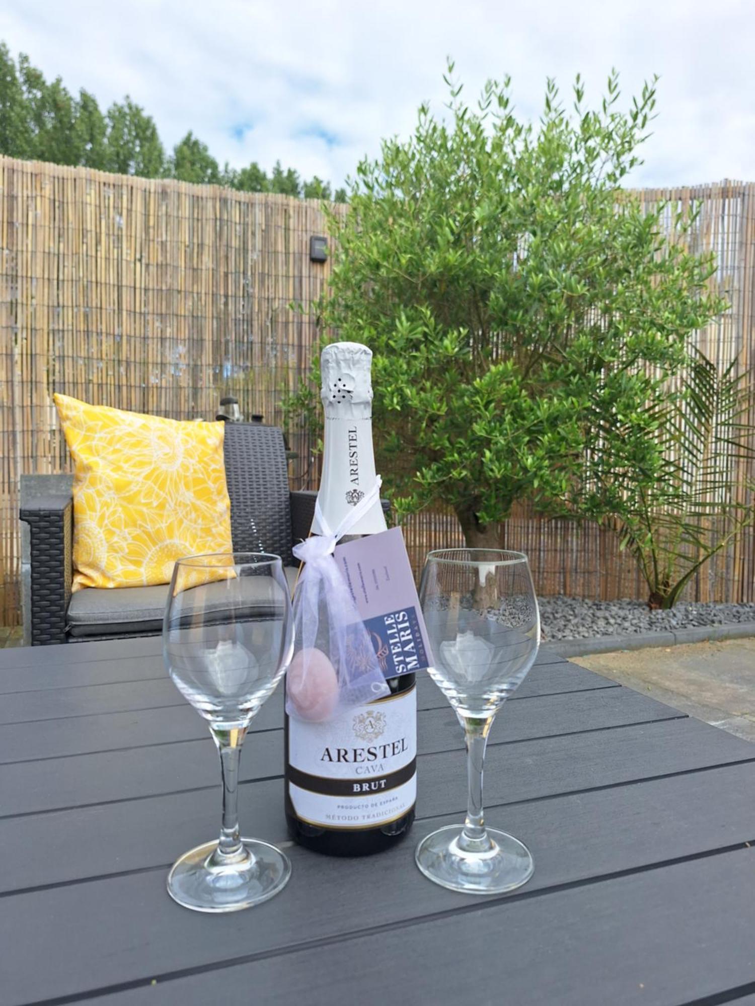 Stelle Maris, Nice Place In Heinkenszand, 2 Bedrooms, Outdoor Swimming Pool, Wifi Smart Tv And Privacy Екстериор снимка